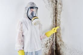 Reliable Munroe Falls, OH Mold Inspection Solutions